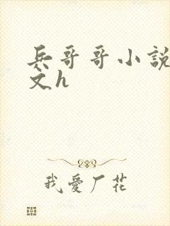 兵哥哥小说高干文h