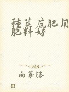 种菜底肥用什么肥料好