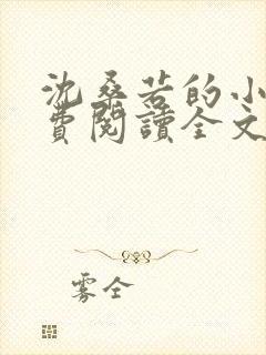 沈桑若的小说免费阅读全文