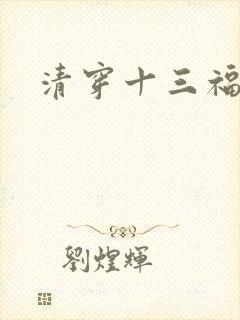 清穿十三福晋