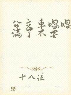 公交车嗯嗯啊啊满了不要