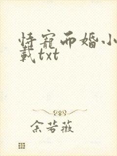 恃宠而婚小说下载txt