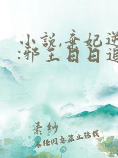 小说,弃妃逆袭:邪王日日追妻忙