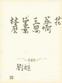 林黛玉葬花是什么意思啊
