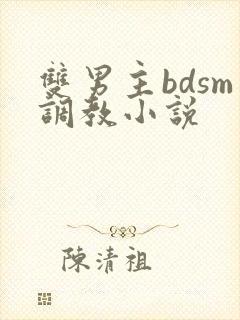 双男主bdsm调教小说