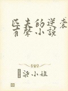 匹夫的逆袭免费有声小说