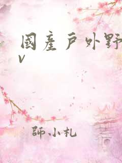 国产户外野战av