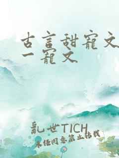 古言甜宠文一对一宠文