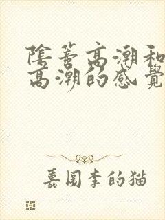 阴蒂高潮和阴道高潮的感觉一样吗