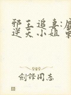 邪王追妻:废材逆天小姐 东泽长宫主*