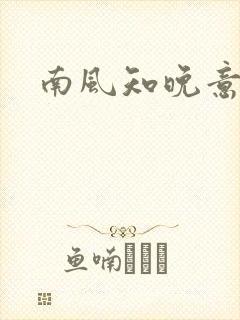 南风知晚意短剧