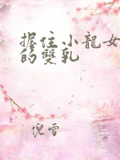 握住小龙女硕大的双乳