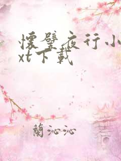 怀璧夜行小说txt下载