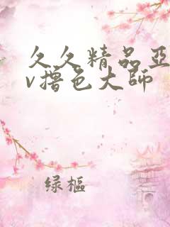 久久精品亚洲av撸色大师