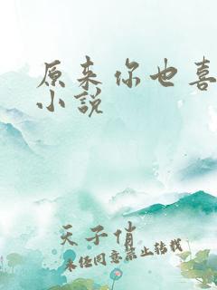 原来你也喜欢我小说