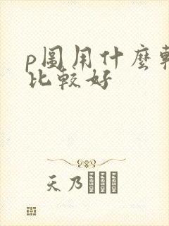 p图用什么软件比较好