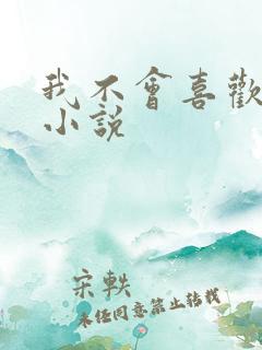 我不会喜欢你 小说 我不会喜欢你 小说