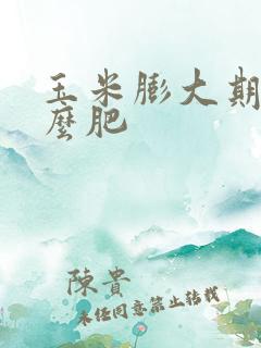 玉米膨大期施什么肥