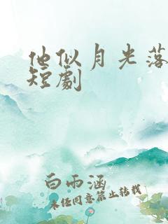 他似月光落我心短剧