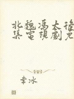 北魏冯太后42集电视剧免费观看