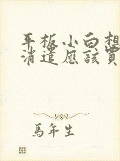 平板小白想画画消遣应该买哪个好