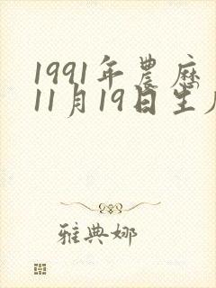 1991年农历11月19日生辰八字