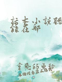 话本小说听书功能在哪