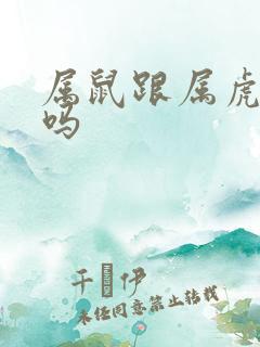 属鼠跟属虎合财吗