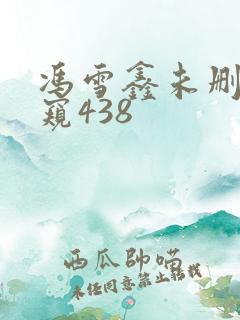 冯雪鑫未删减偷窥438