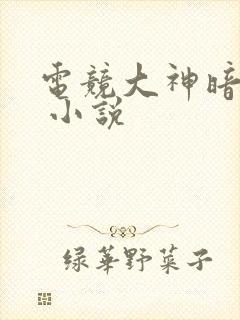 电竞大神暗恋我 小说