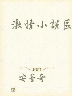 激情小说区视频