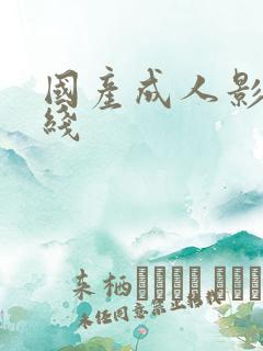 国产成人影院在线