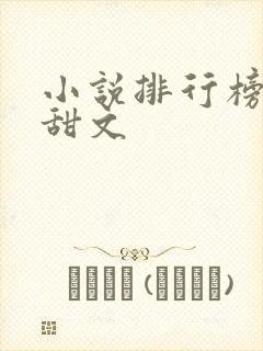 小说排行榜言情甜文