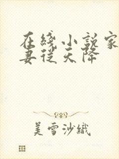 在线小说家有萌妻从天降