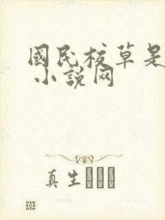 国民校草是女生 小说网