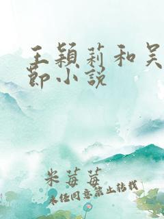 王颖莉和吴刚章节小说