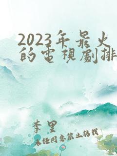 2023年最火的电视剧排行榜前十名