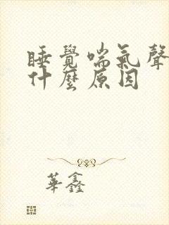 睡觉喘气声大是什么原因