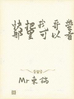 快把我哥带走在那里可以看