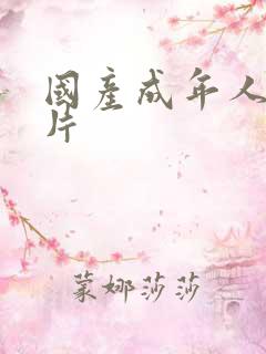 国产成年人一级片