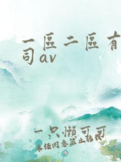 一区二区有限公司av