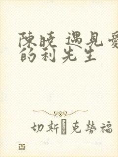 陈晓 遇见爱情的利先生