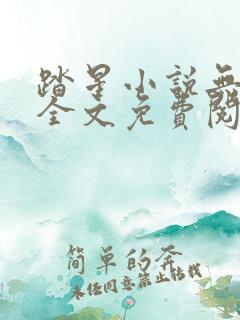 踏星小说无弹窗全文免费阅读