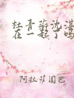 杜青蘅沈湛最后在一起了吗 杜青蘅沈湛最后在一起了吗