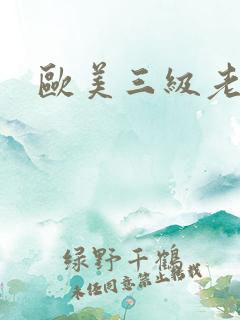 欧美三级老太婆