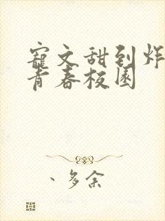 宠文甜到炸无虐青春校园