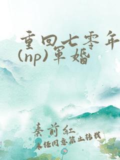 重回七零年代文(np)军婚