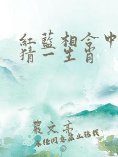 红蓝相合中特马猜一生肖