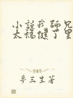 小说我师兄实在太稳健了里