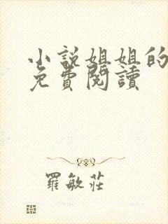 小说姐姐的秘密免费阅读